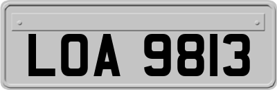 LOA9813