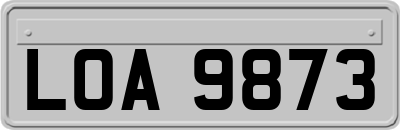 LOA9873