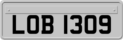 LOB1309