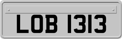 LOB1313