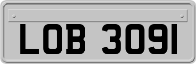 LOB3091