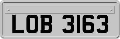LOB3163