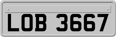 LOB3667