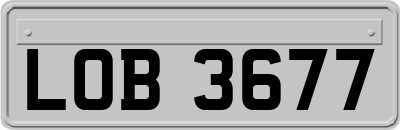 LOB3677