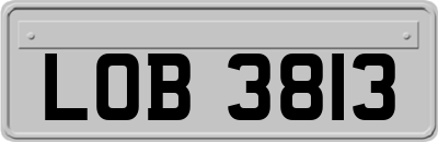 LOB3813