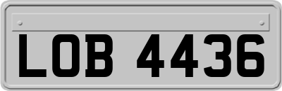 LOB4436