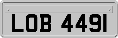 LOB4491