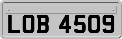 LOB4509