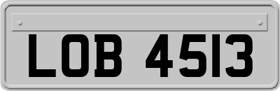 LOB4513