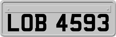 LOB4593