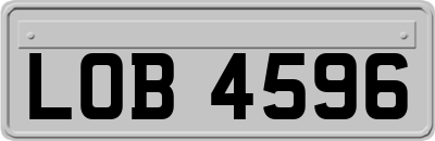 LOB4596