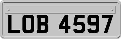LOB4597
