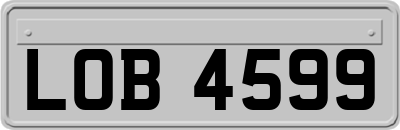 LOB4599