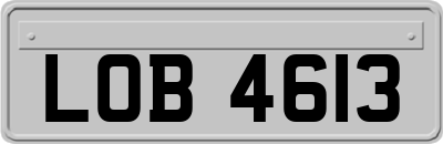 LOB4613