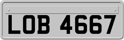 LOB4667