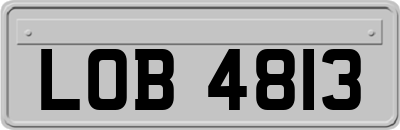 LOB4813