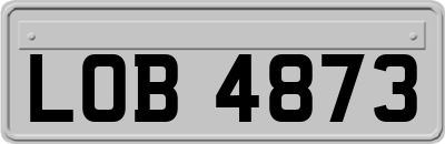 LOB4873