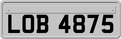 LOB4875