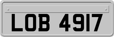 LOB4917
