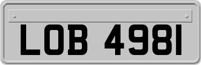 LOB4981