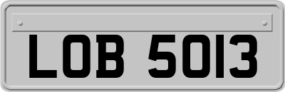 LOB5013