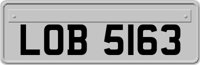 LOB5163
