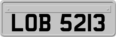LOB5213