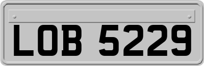 LOB5229