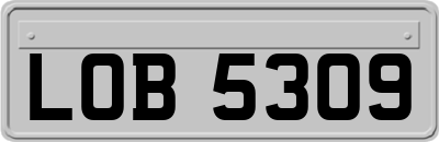 LOB5309