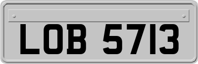 LOB5713