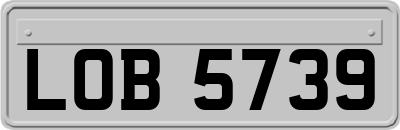 LOB5739