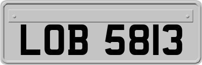 LOB5813