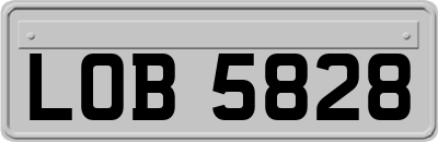 LOB5828