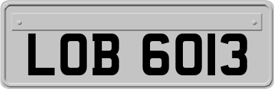 LOB6013