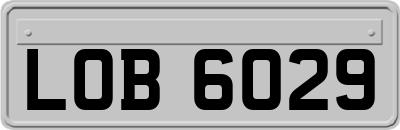 LOB6029