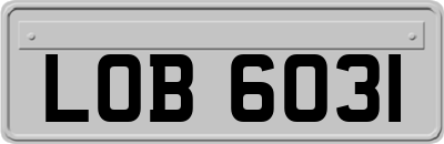 LOB6031