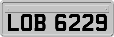 LOB6229