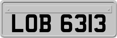 LOB6313