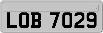 LOB7029