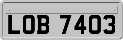 LOB7403