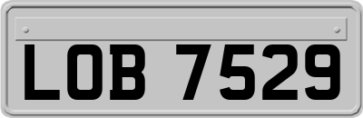 LOB7529