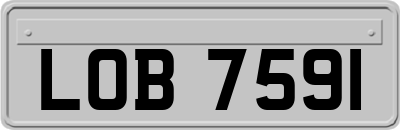 LOB7591