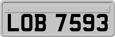 LOB7593