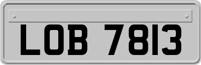 LOB7813