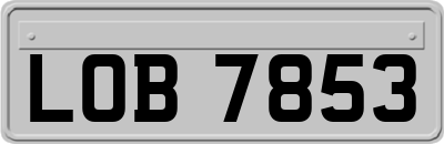 LOB7853