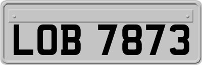 LOB7873