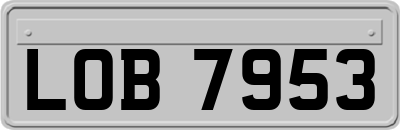 LOB7953