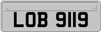 LOB9119