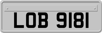 LOB9181
