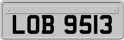 LOB9513